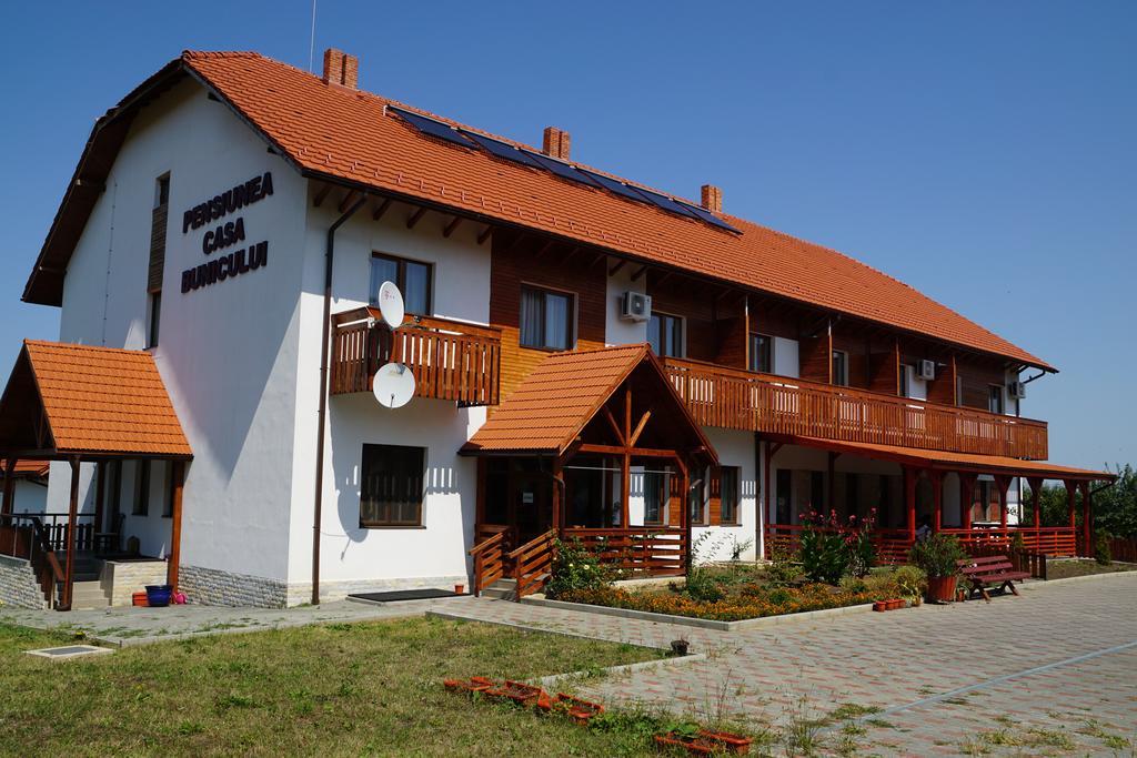 Pensiunea Casa Bunicului Mociu Экстерьер фото
